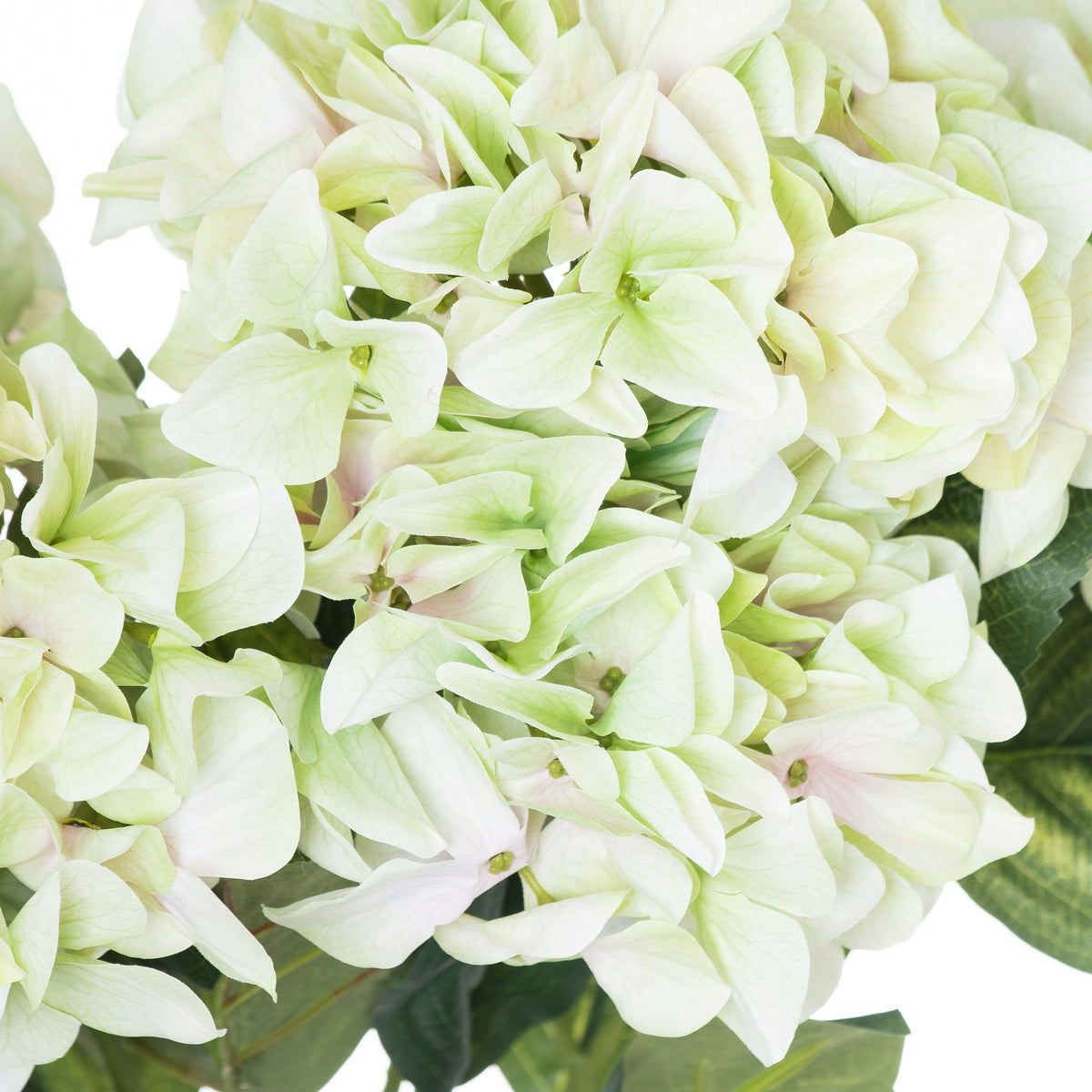 Shabby Green Hydrangea Bouquet - Green