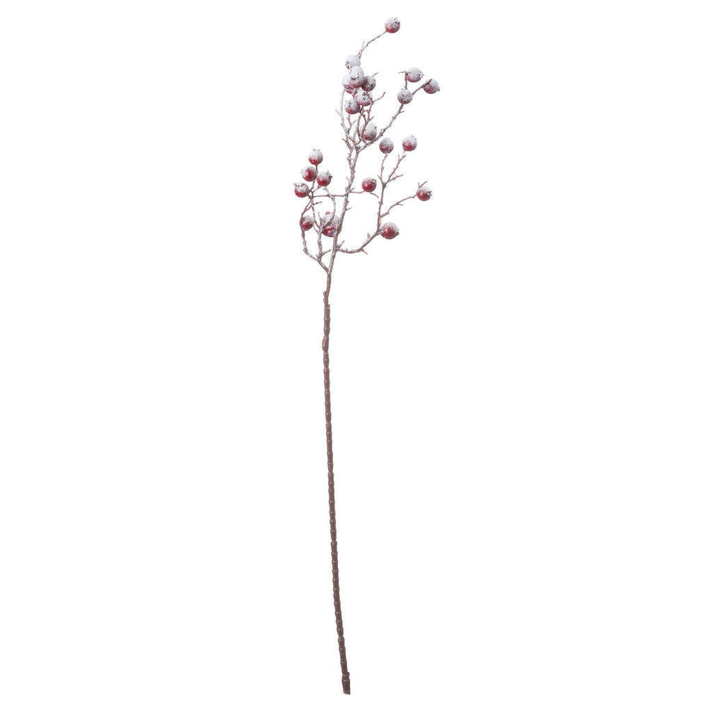 Large Red Festive Berry - Red