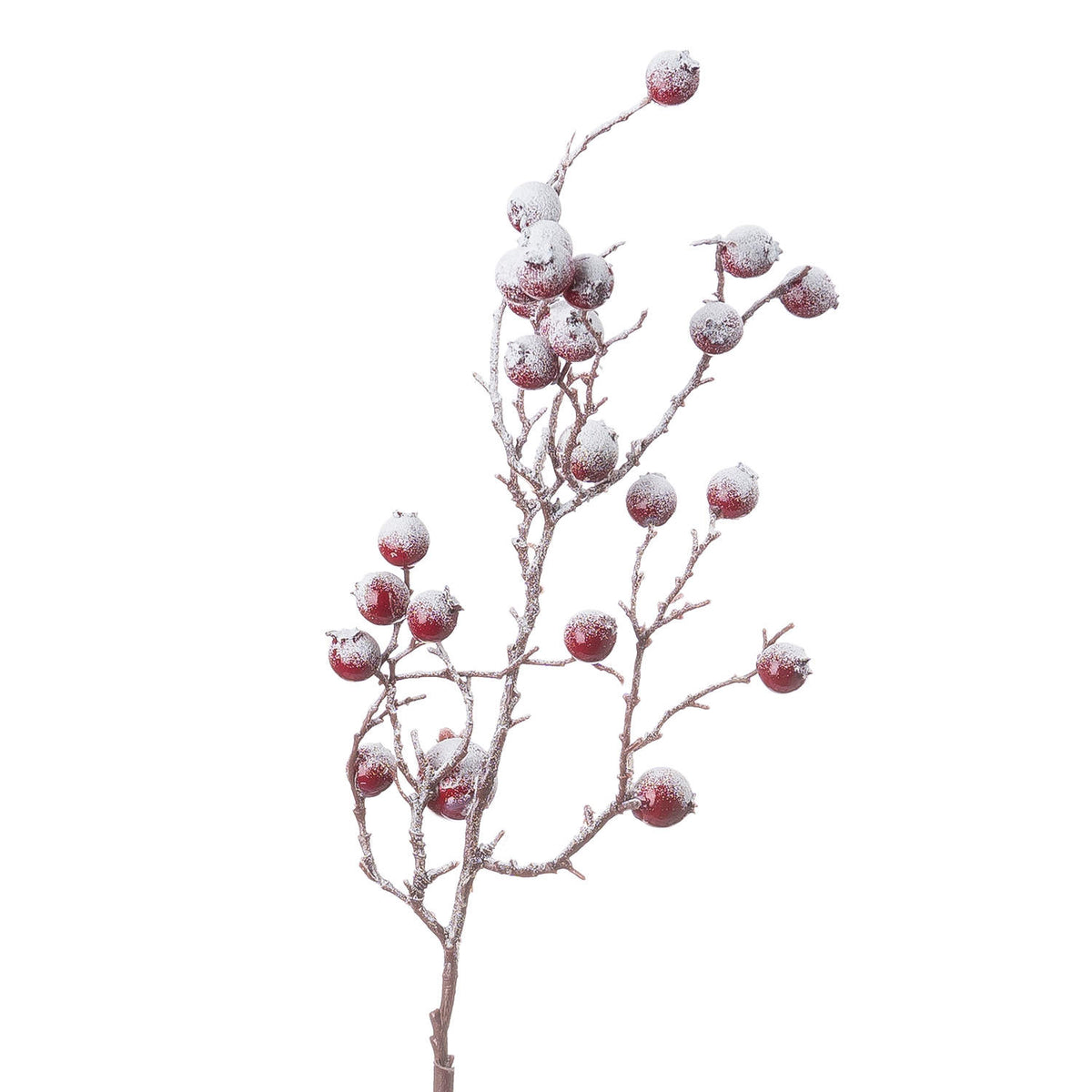 Large Red Festive Berry - Red