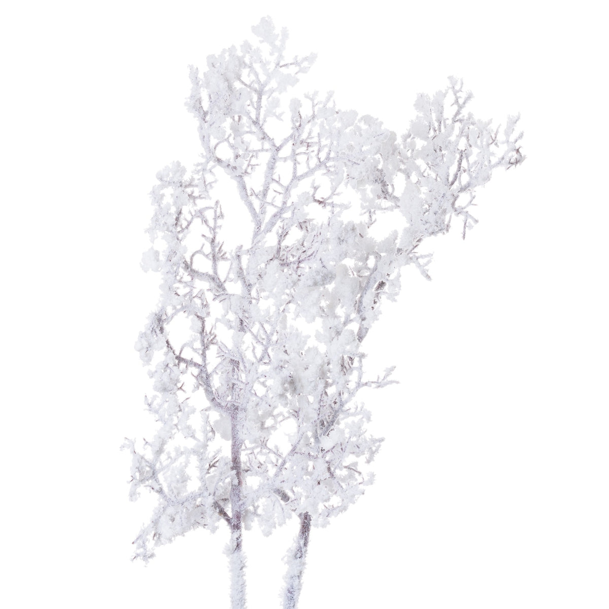 Snowy Winter Woodland Branch with Pinecones - White