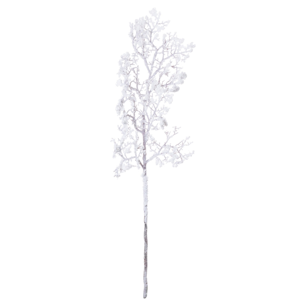 Snowy Winter Woodland Branch with Pinecones - White
