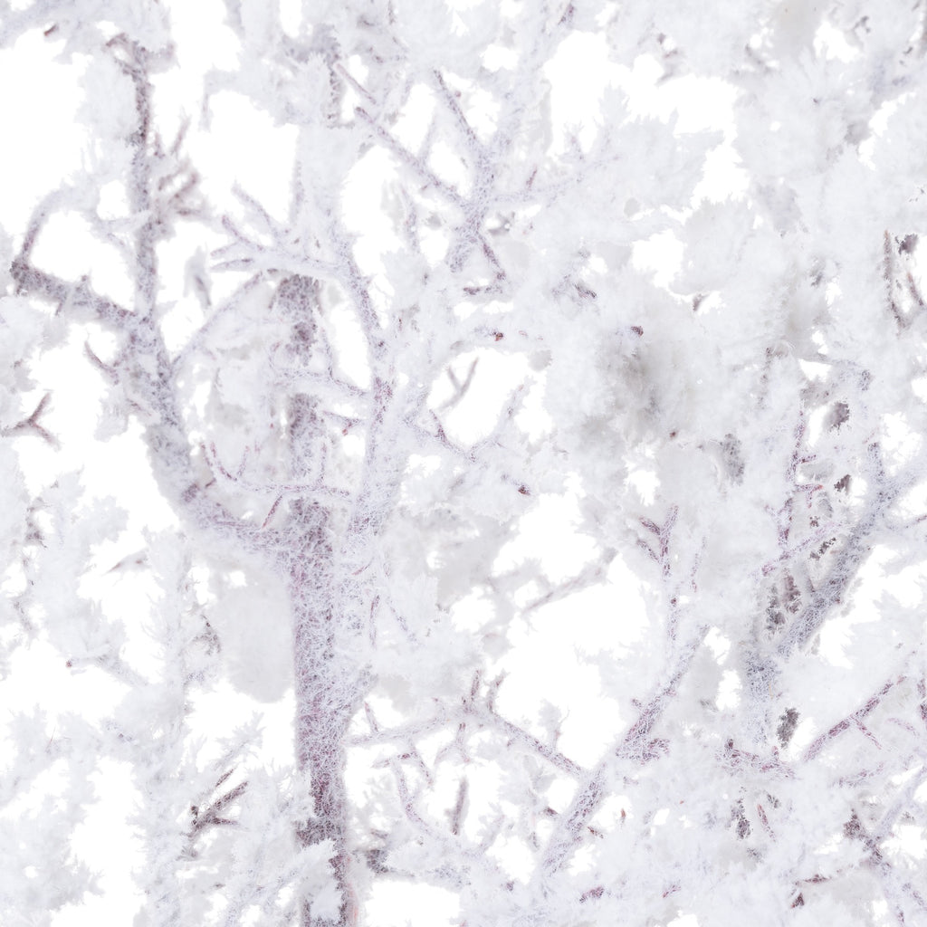 Snowy Winter Woodland Branch - White