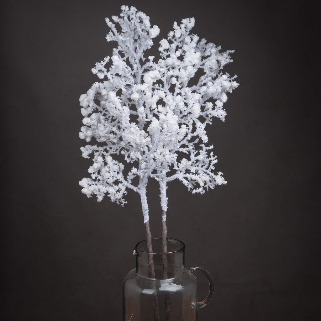Snowy Winter Woodland Branch with Pinecones - White