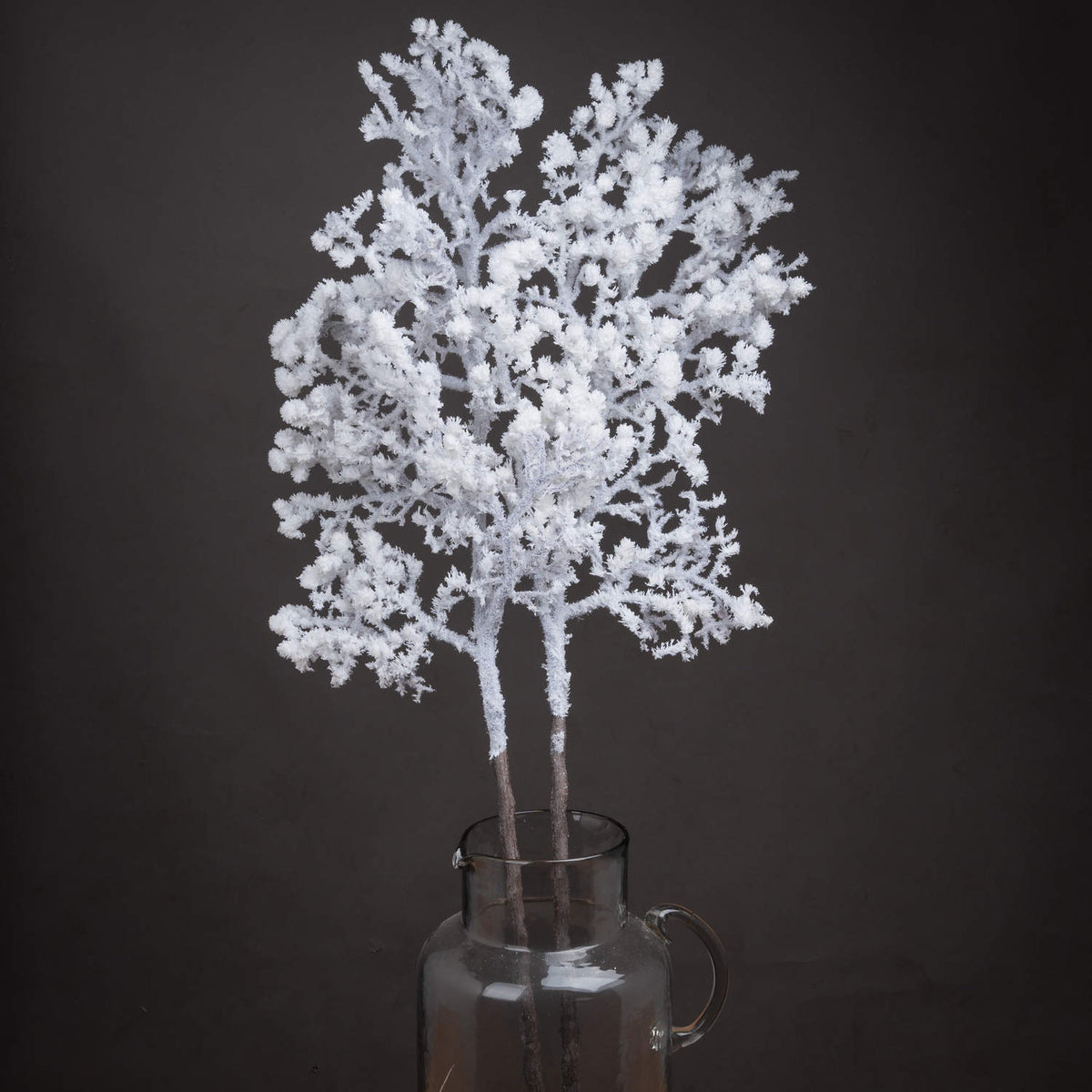 Snowy Winter Woodland Branch with Pinecones - White