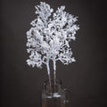 Snowy Winter Woodland Branch - White