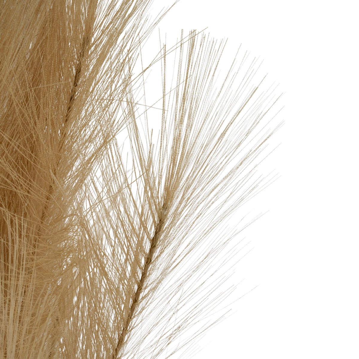Bleached Large Faux Pampas Grass Stem - White