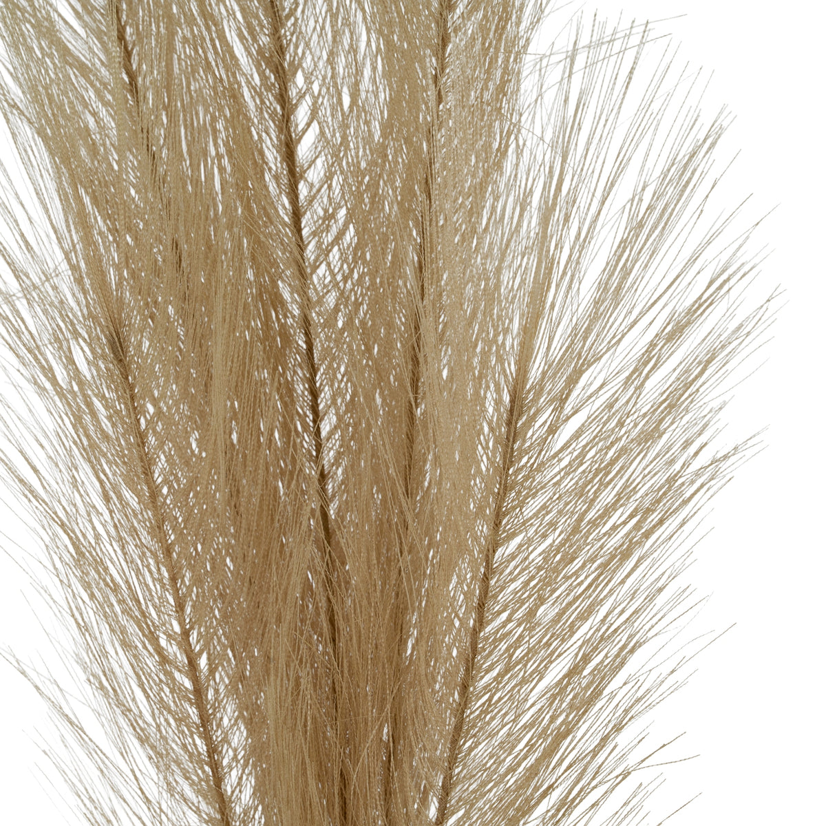 Bleached Faux Pampas Grass Stem - White