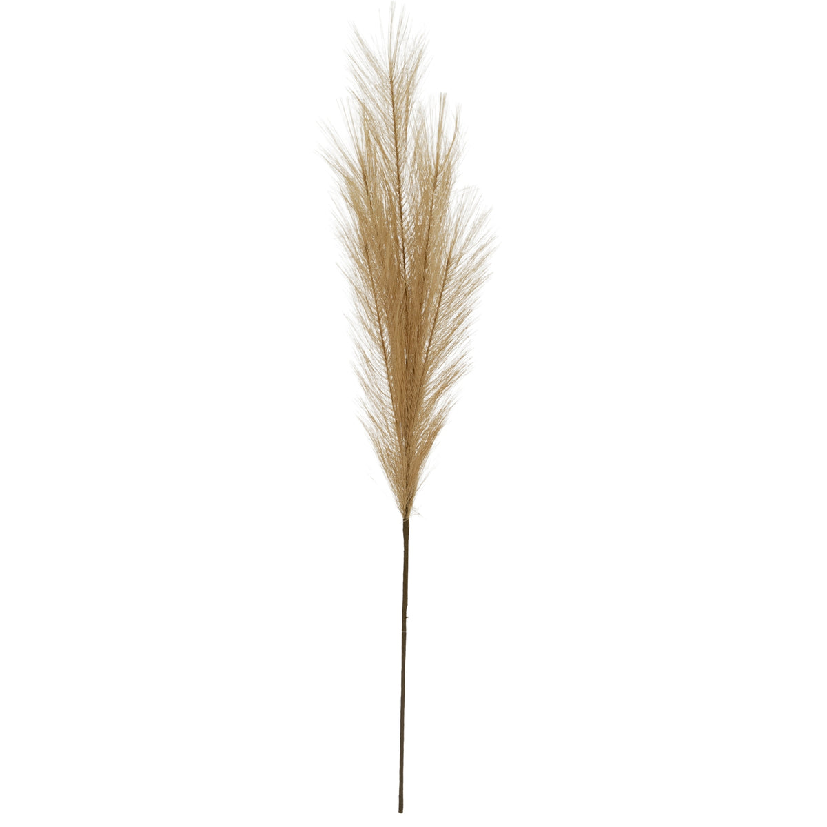 Taupe Faux Dried Pampas Grass Stem