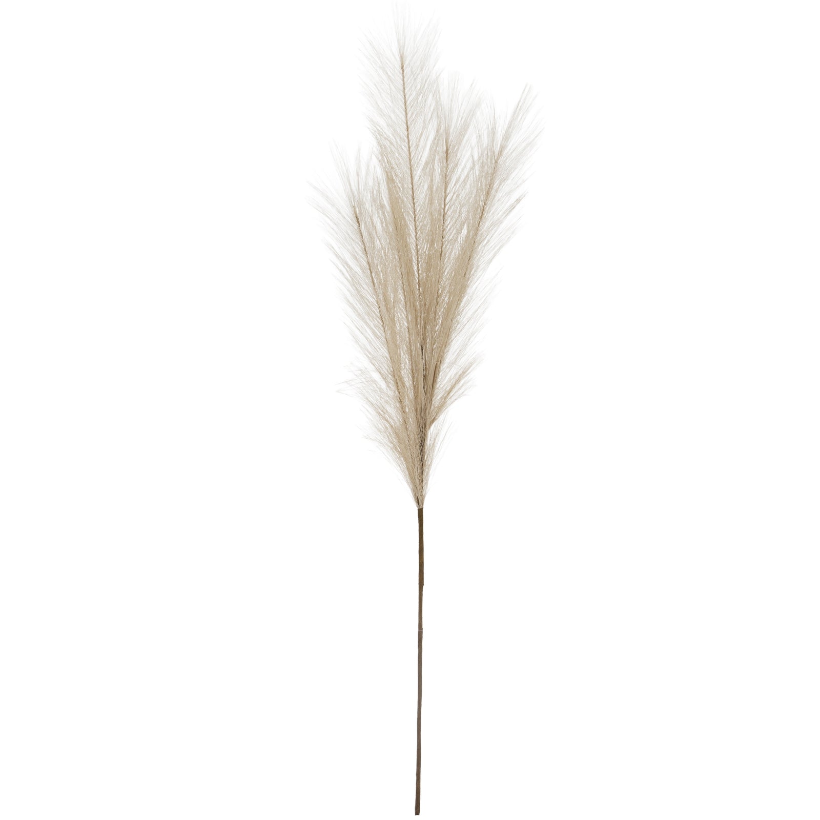Bleached Large Faux Pampas Grass Stem