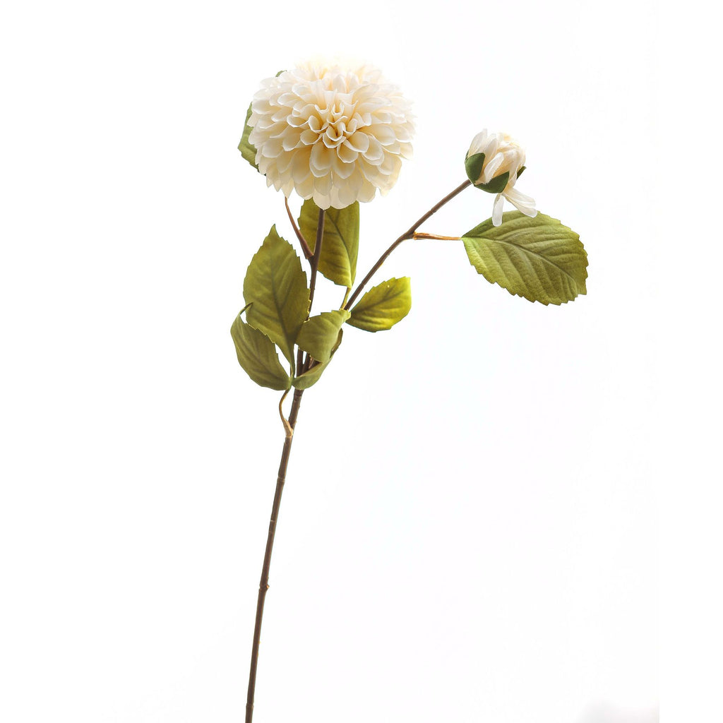 White Dahlia Stem - White