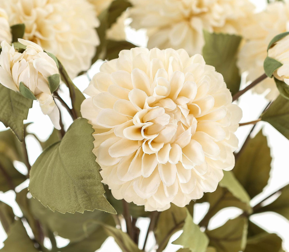 White Dahlia Stem - White