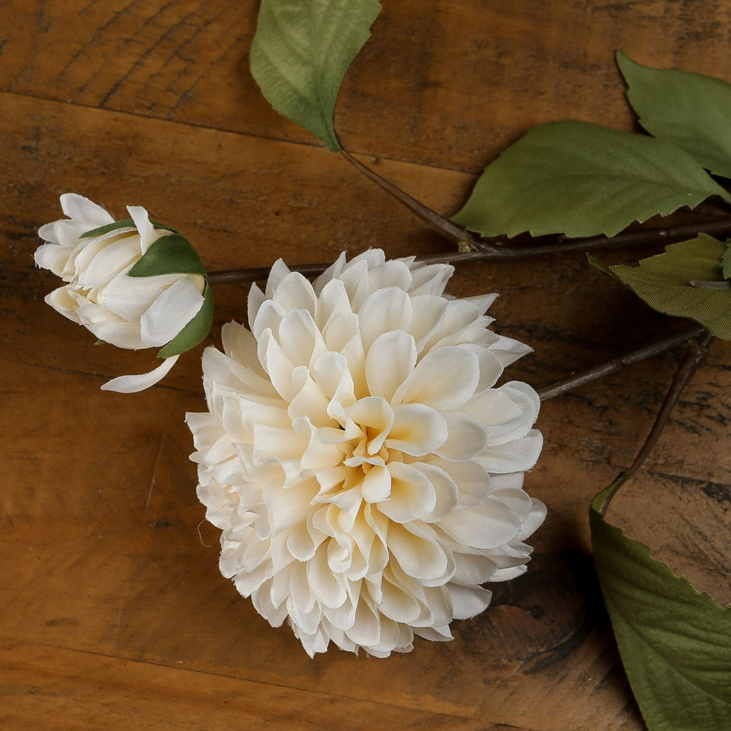 White Dahlia Stem - White