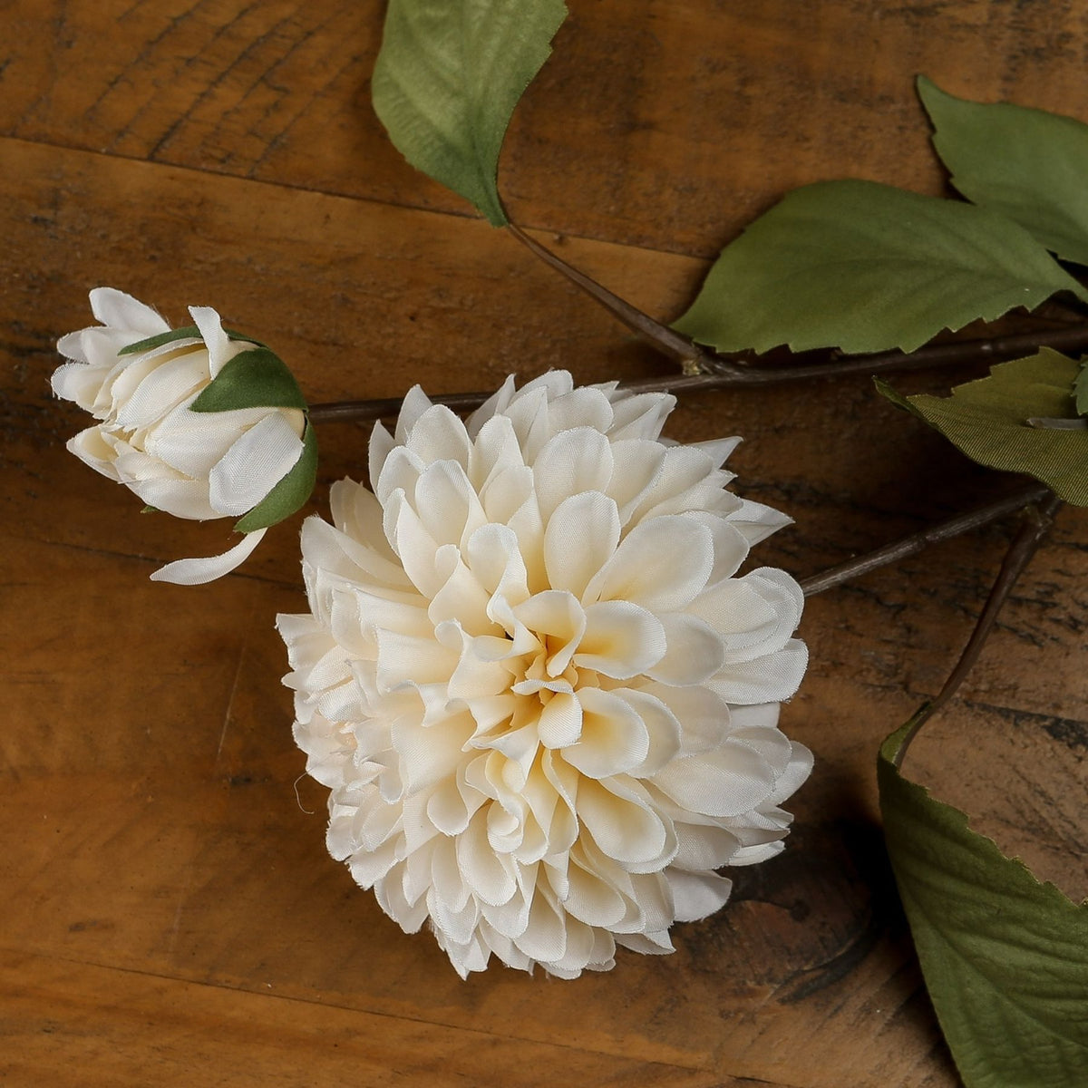 White Dahlia Stem - White