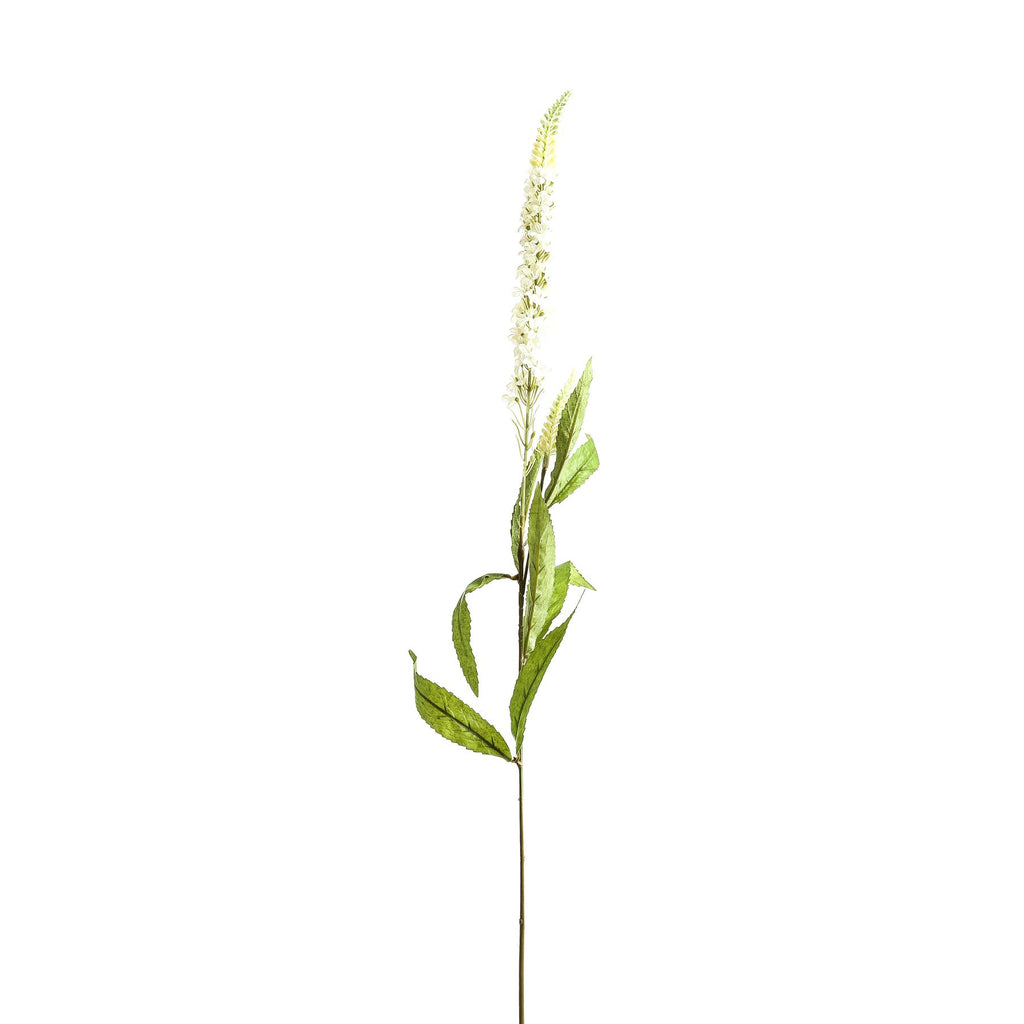 White Veronica Stem - White