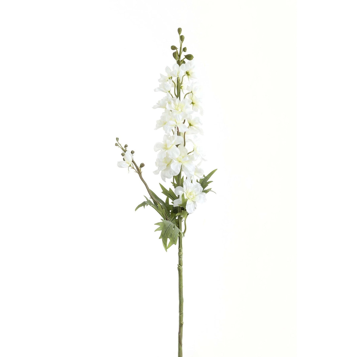 Tall White Delphinium Stem - White