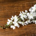 Tall White Delphinium Stem - White