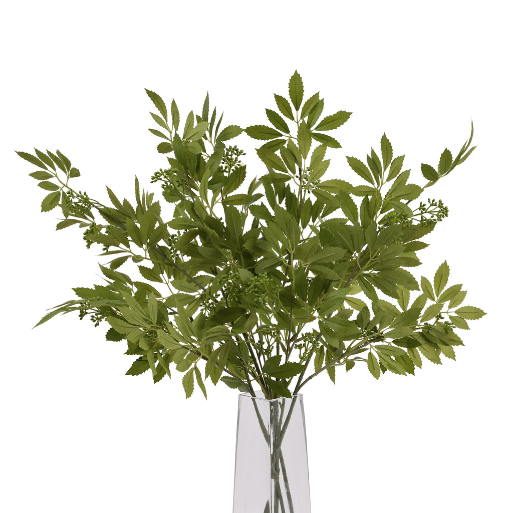 Long Fennel Stem - Green