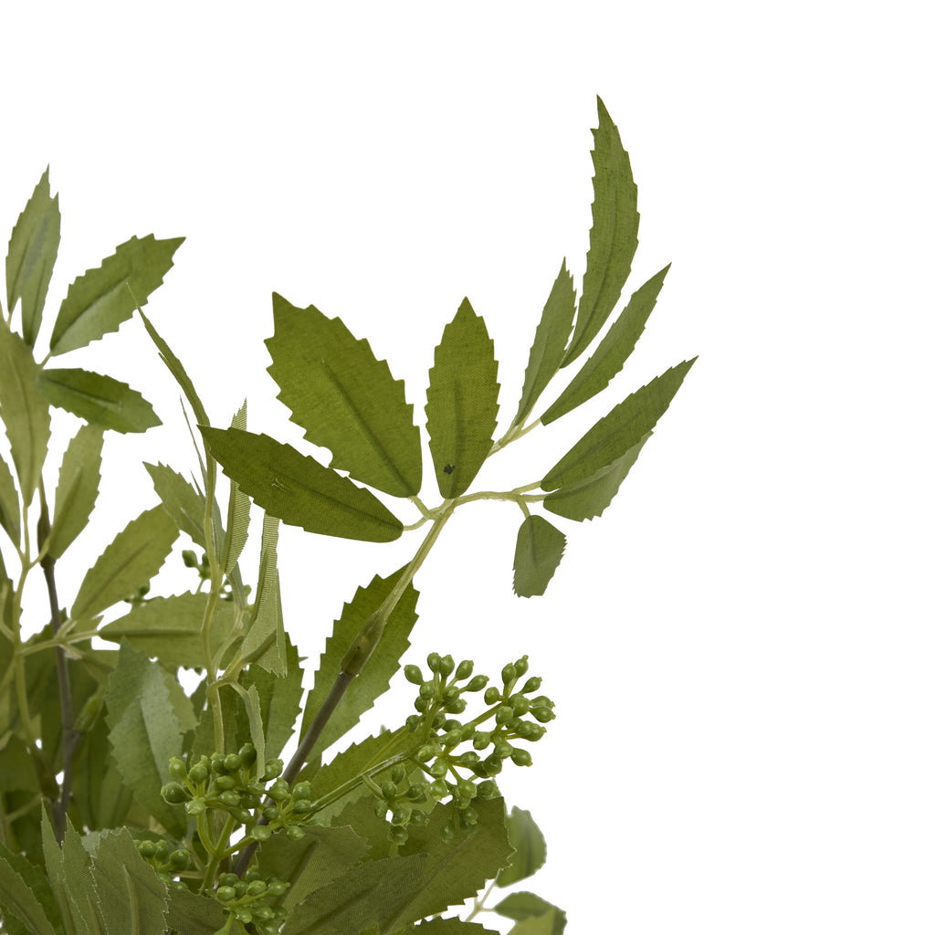 Long Fennel Stem - Green