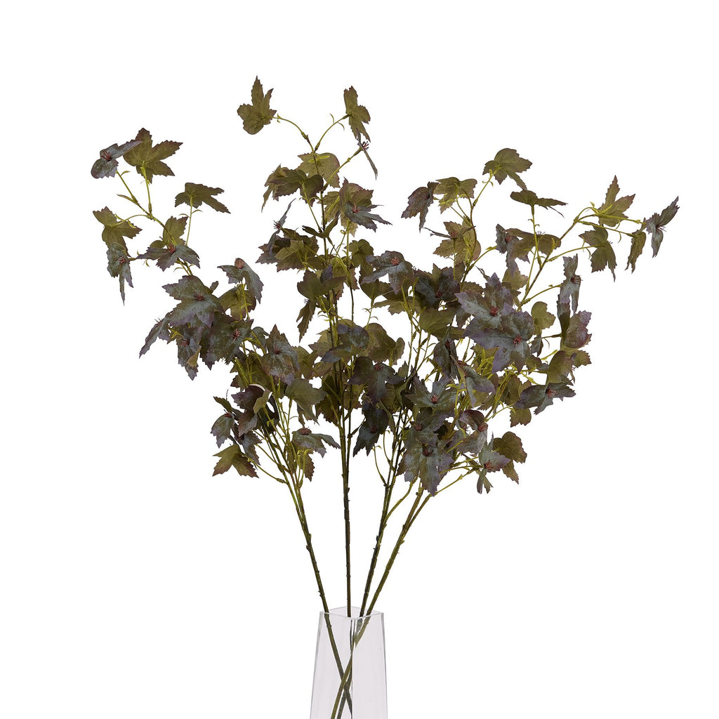 Variegated Maple Leaf - Green