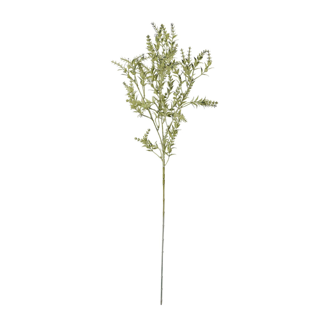 Broom Stem - Green
