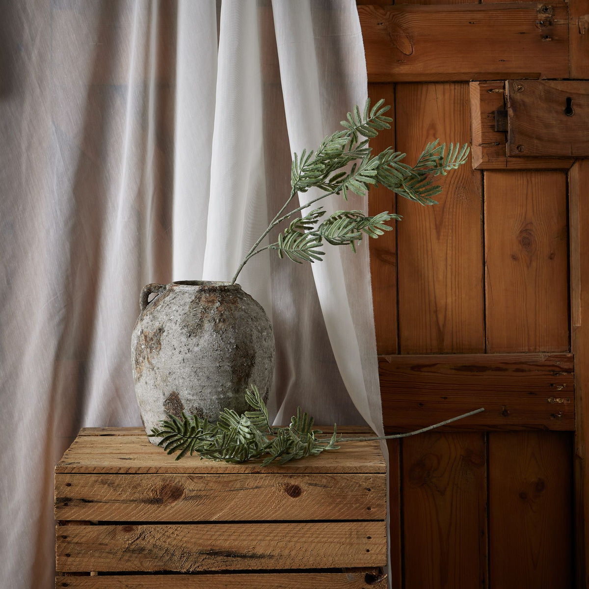 Silver Wattle Leaf - Green