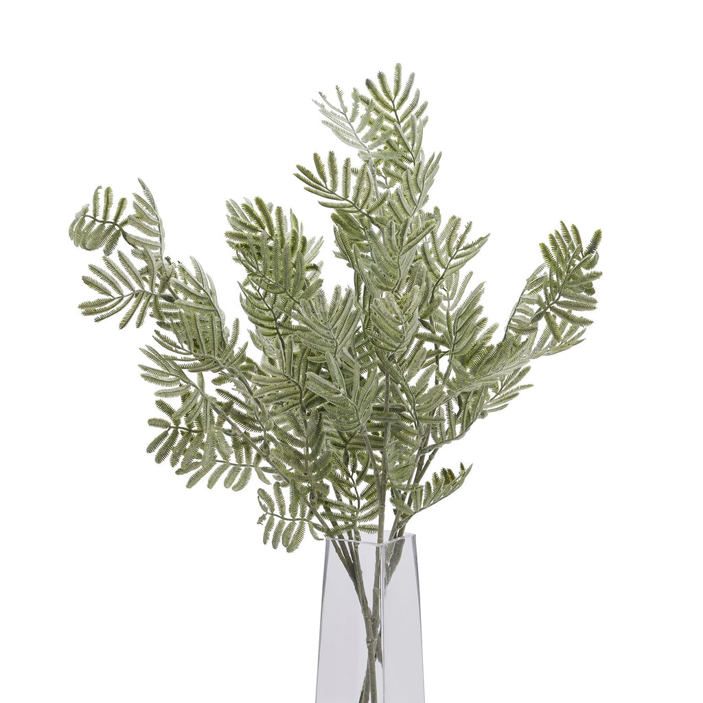 Silver Wattle Leaf - Green