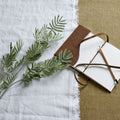 Silver Wattle Leaf - Green