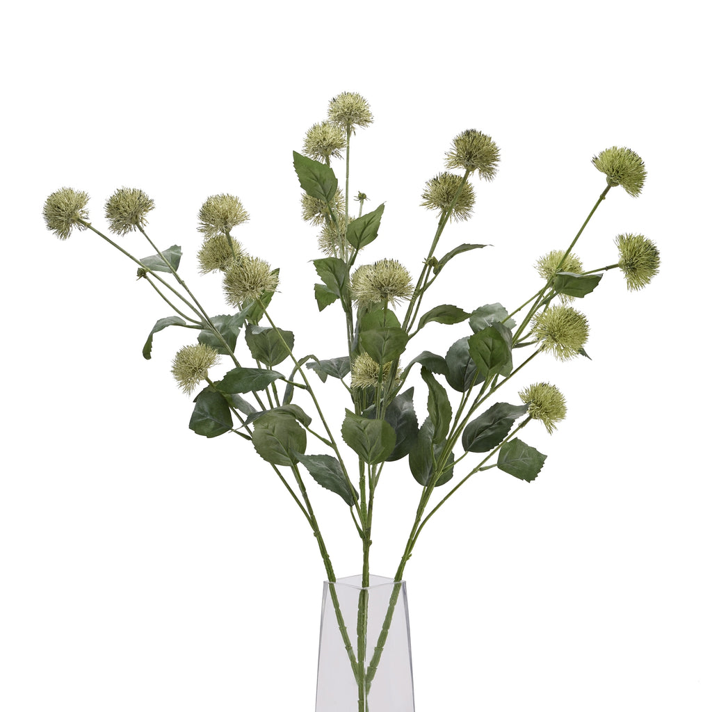 Thistle Globe Stem - Green