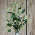 Thistle Globe Stem - Green