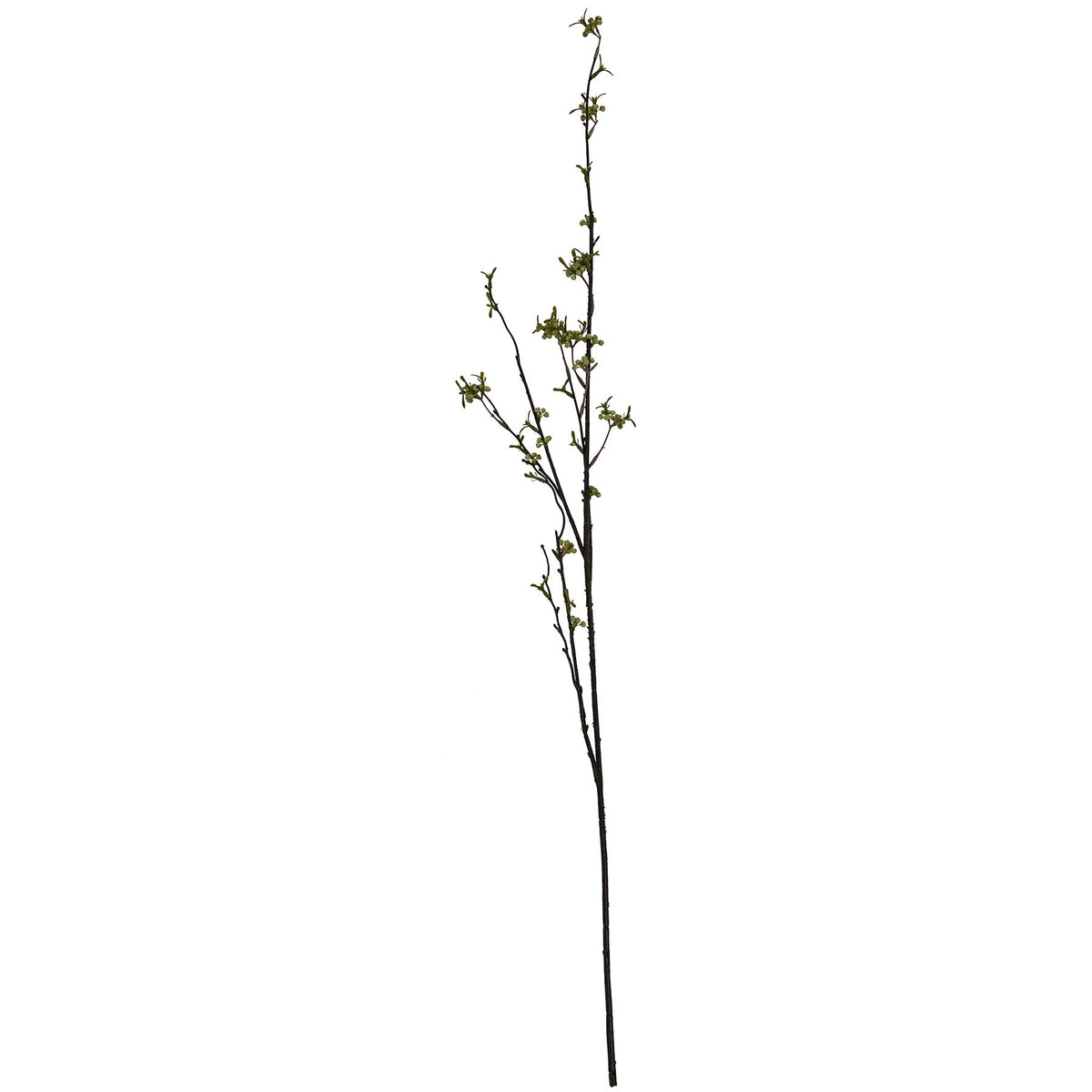Green Berry Willow Stem - Green