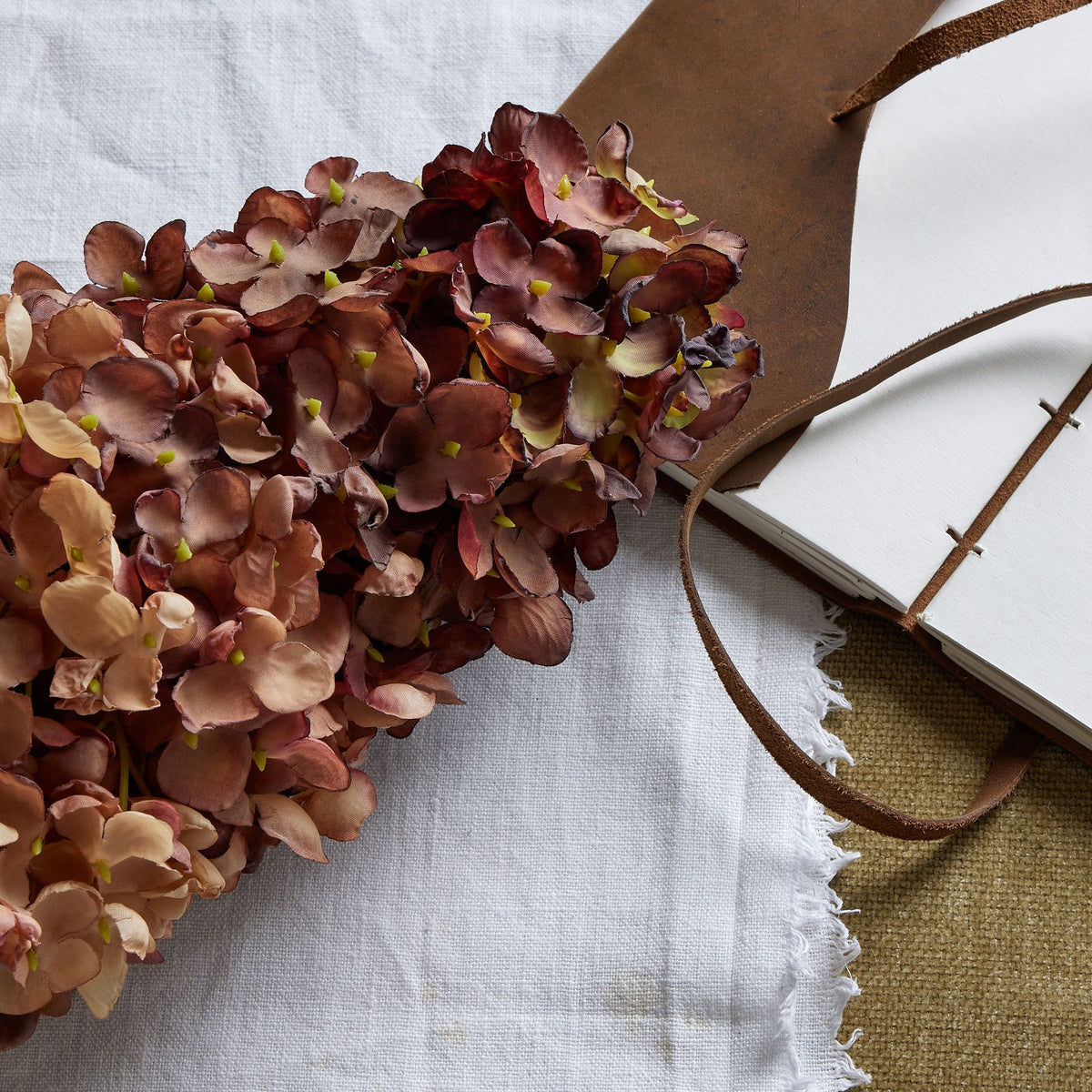 Burgundy Spear Hydrangea - Burgundy