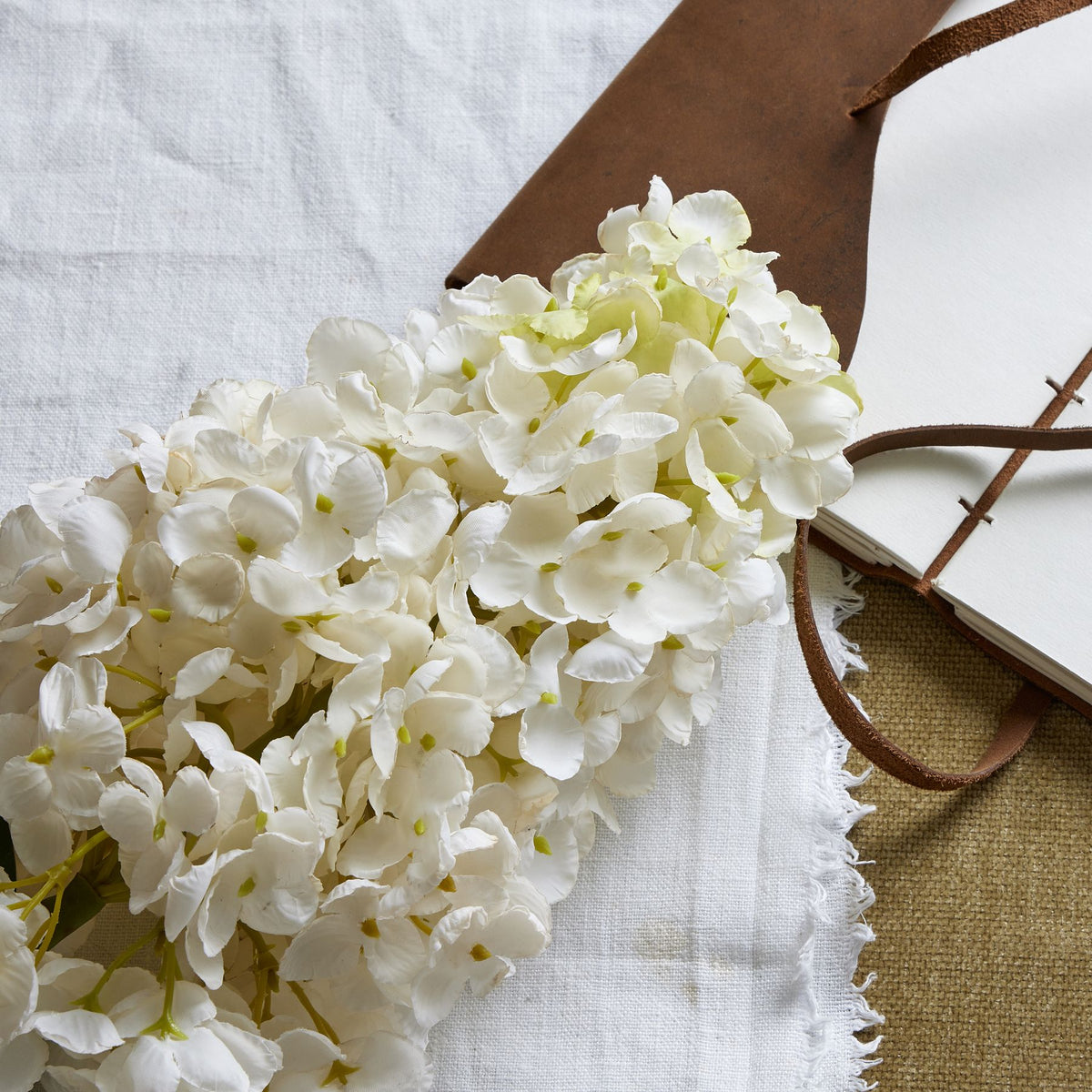 White Spear Hydrangea - White