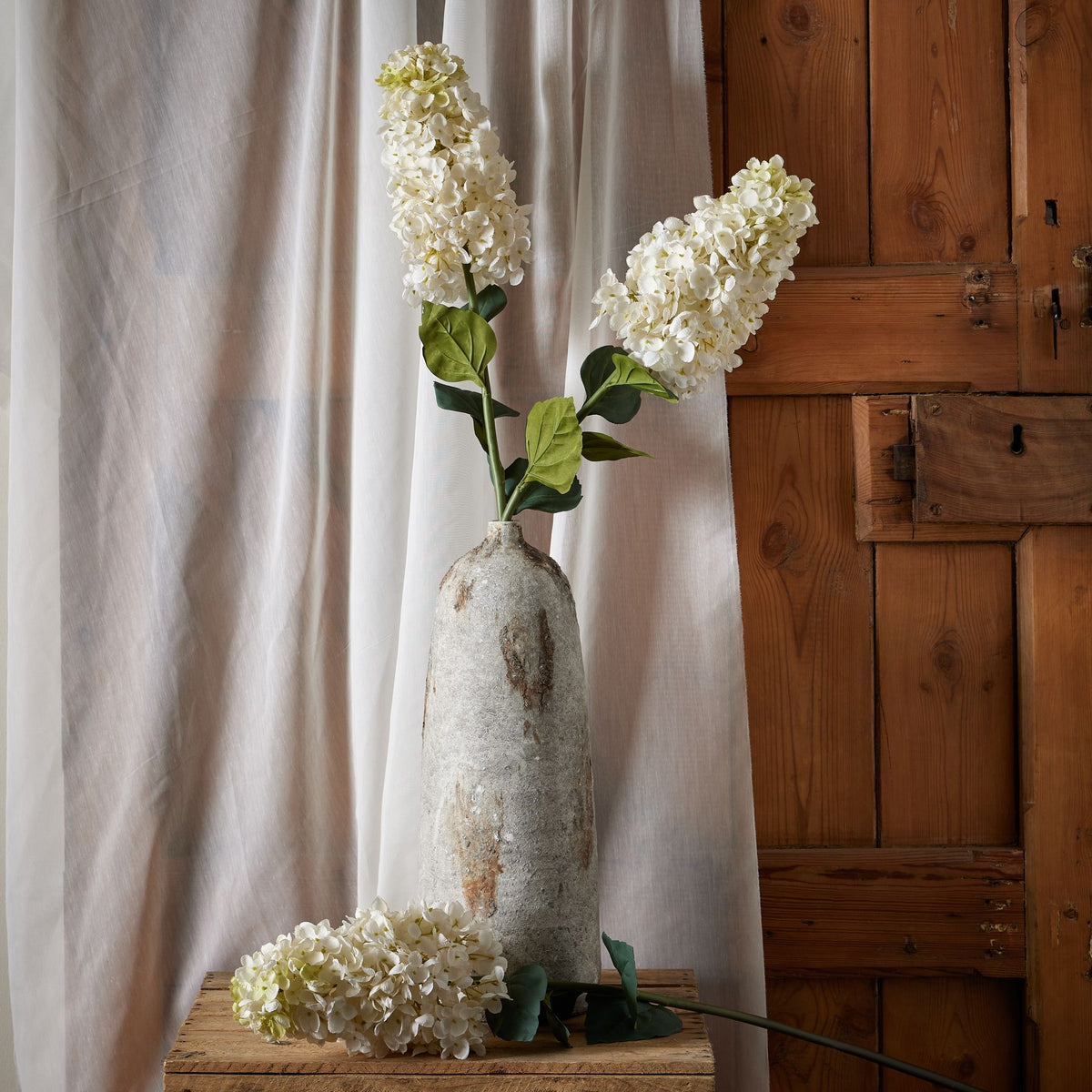 White Spear Hydrangea - White