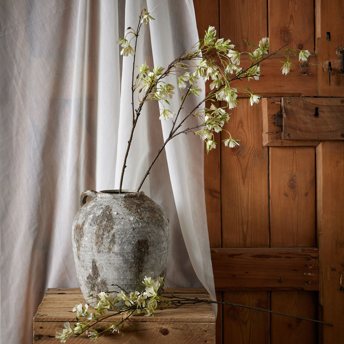 Elaeocarpus Stem - Green