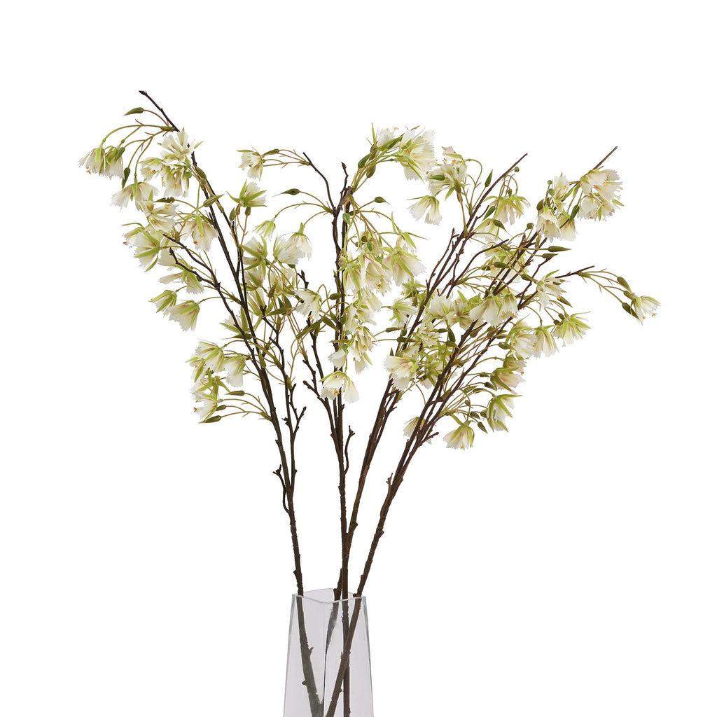 Elaeocarpus Stem - Green