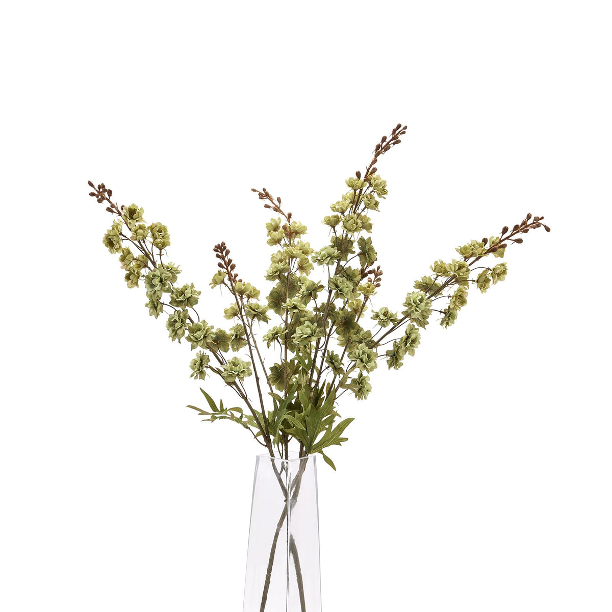Tall Green Hops Stem - Green