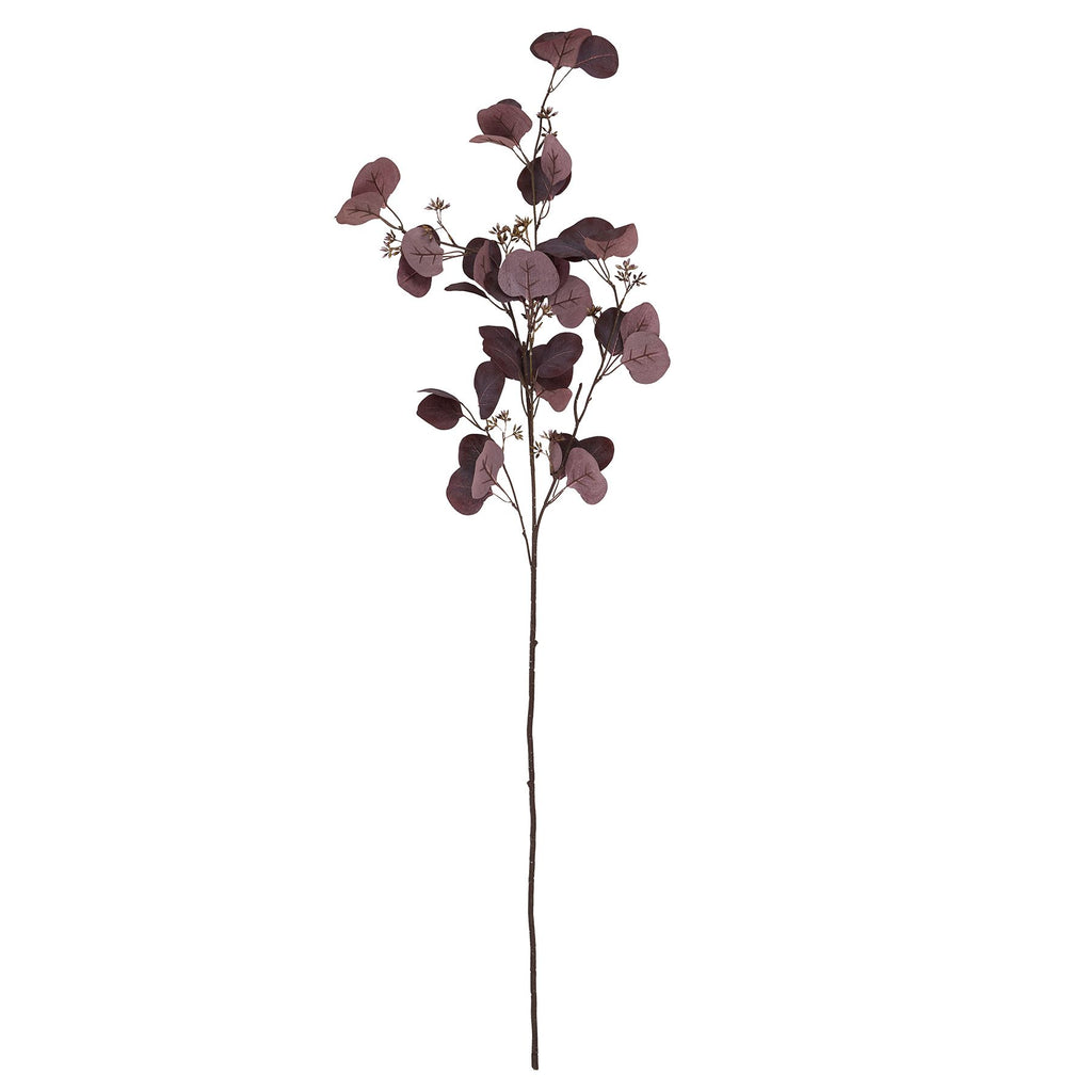 Burgundy Berried Eucalyptus - Burgundy