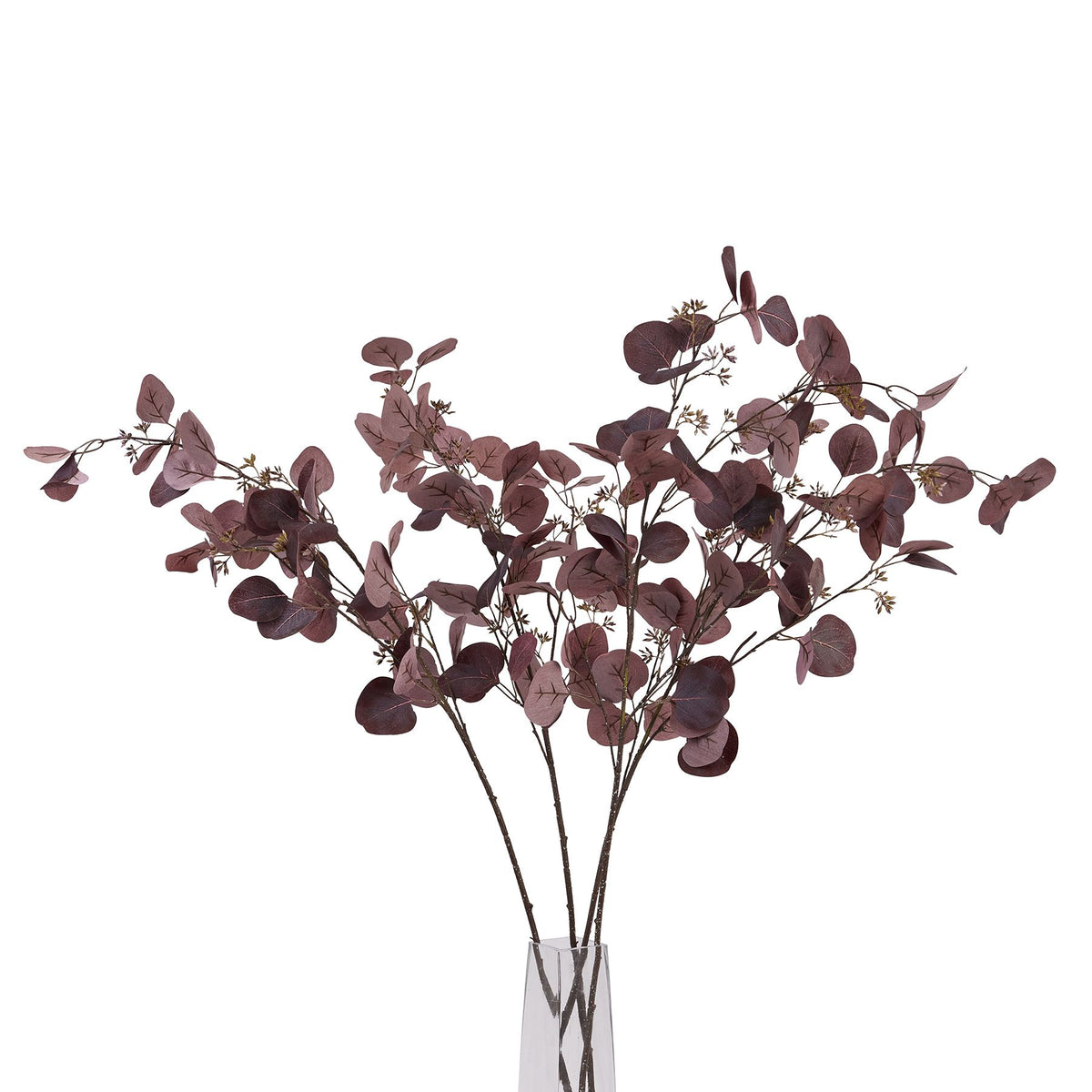 Burgundy Berried Eucalyptus - Burgundy