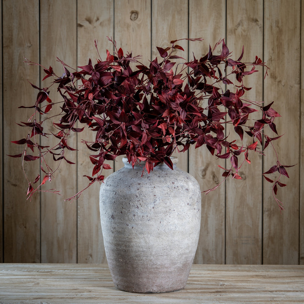 Ornamental Burgundy Leaf - Burgundy