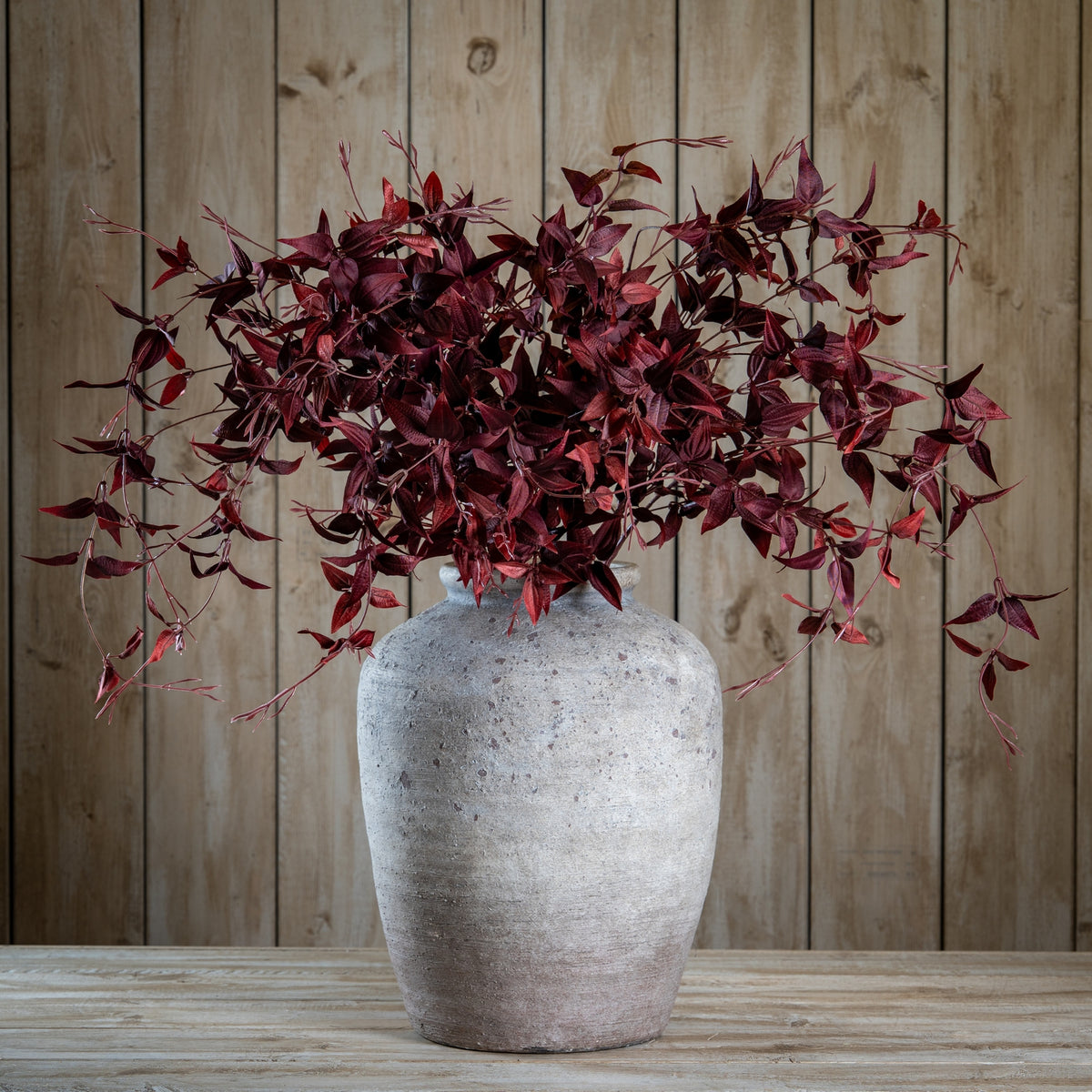 Ornamental Burgundy Leaf - Burgundy