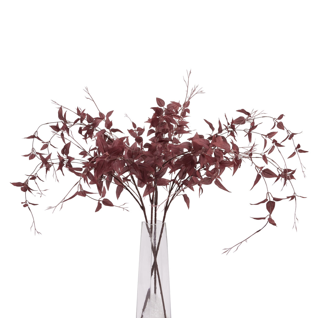 Ornamental Burgundy Leaf - Burgundy