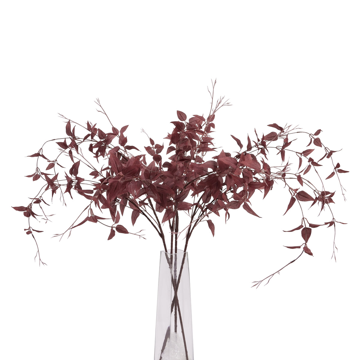 Ornamental Burgundy Leaf - Burgundy