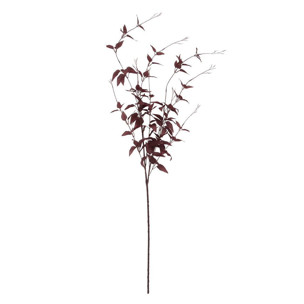 Ornamental Burgundy Leaf - Burgundy