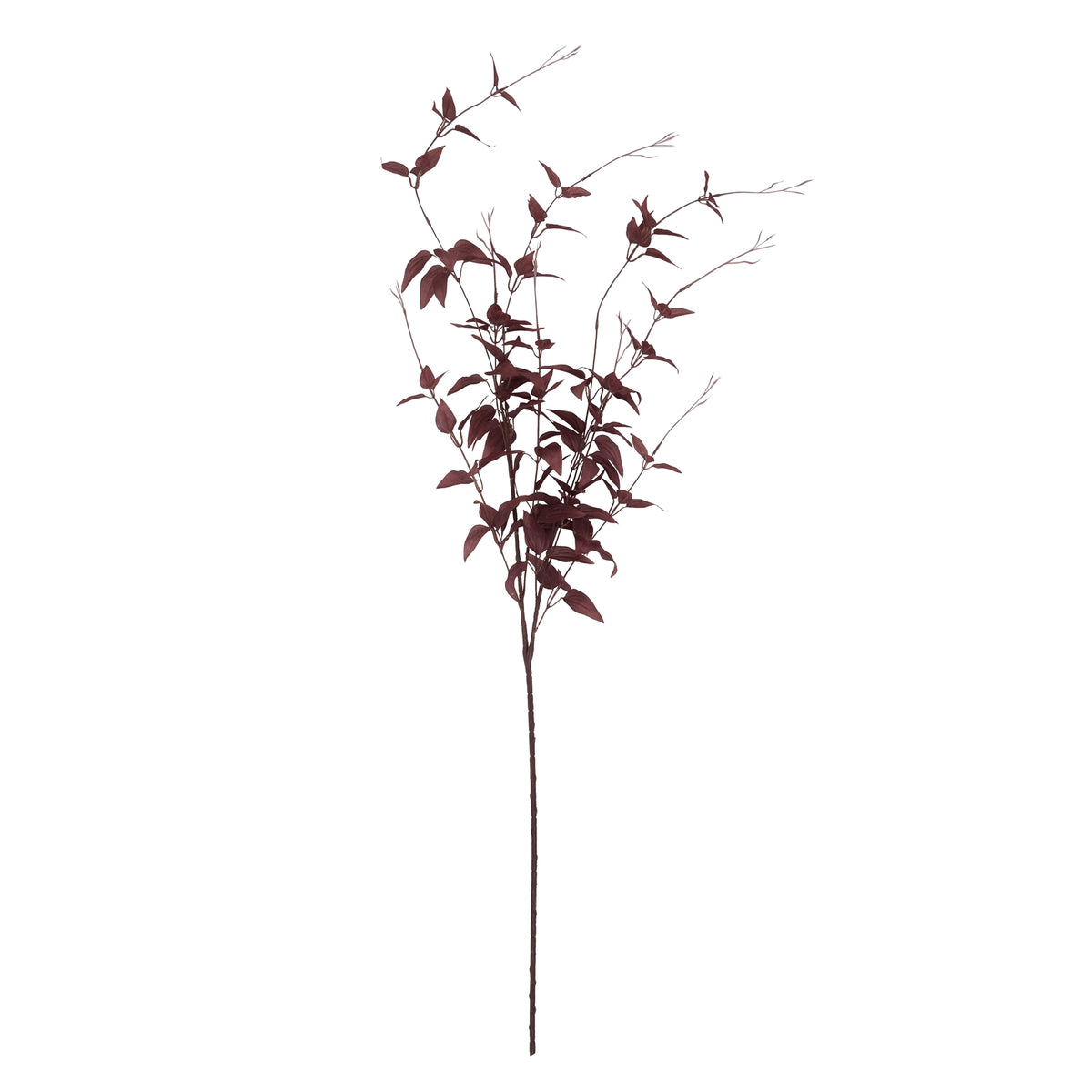 Ornamental Burgundy Leaf - Burgundy