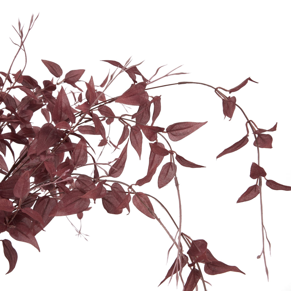 Ornamental Burgundy Leaf - Burgundy