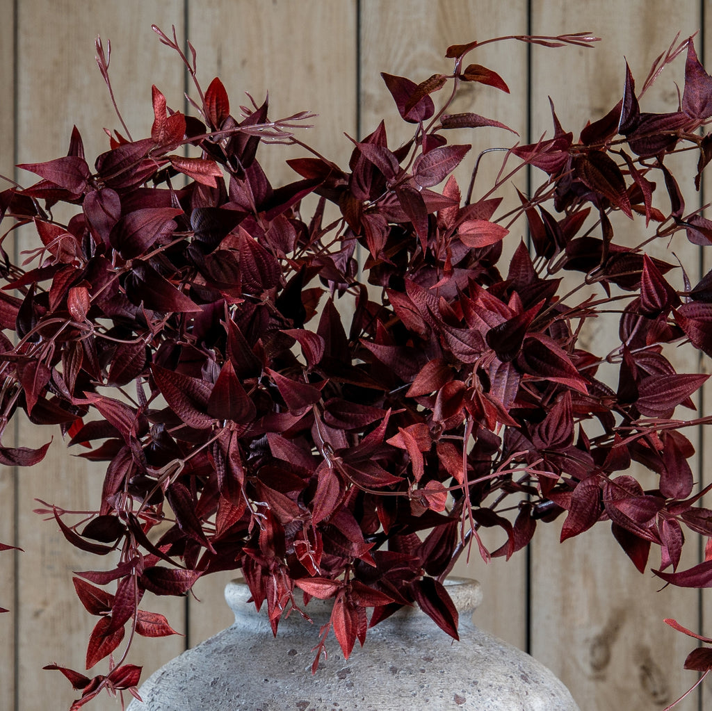 Ornamental Burgundy Leaf - Burgundy