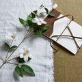 White Florida Clematis - White
