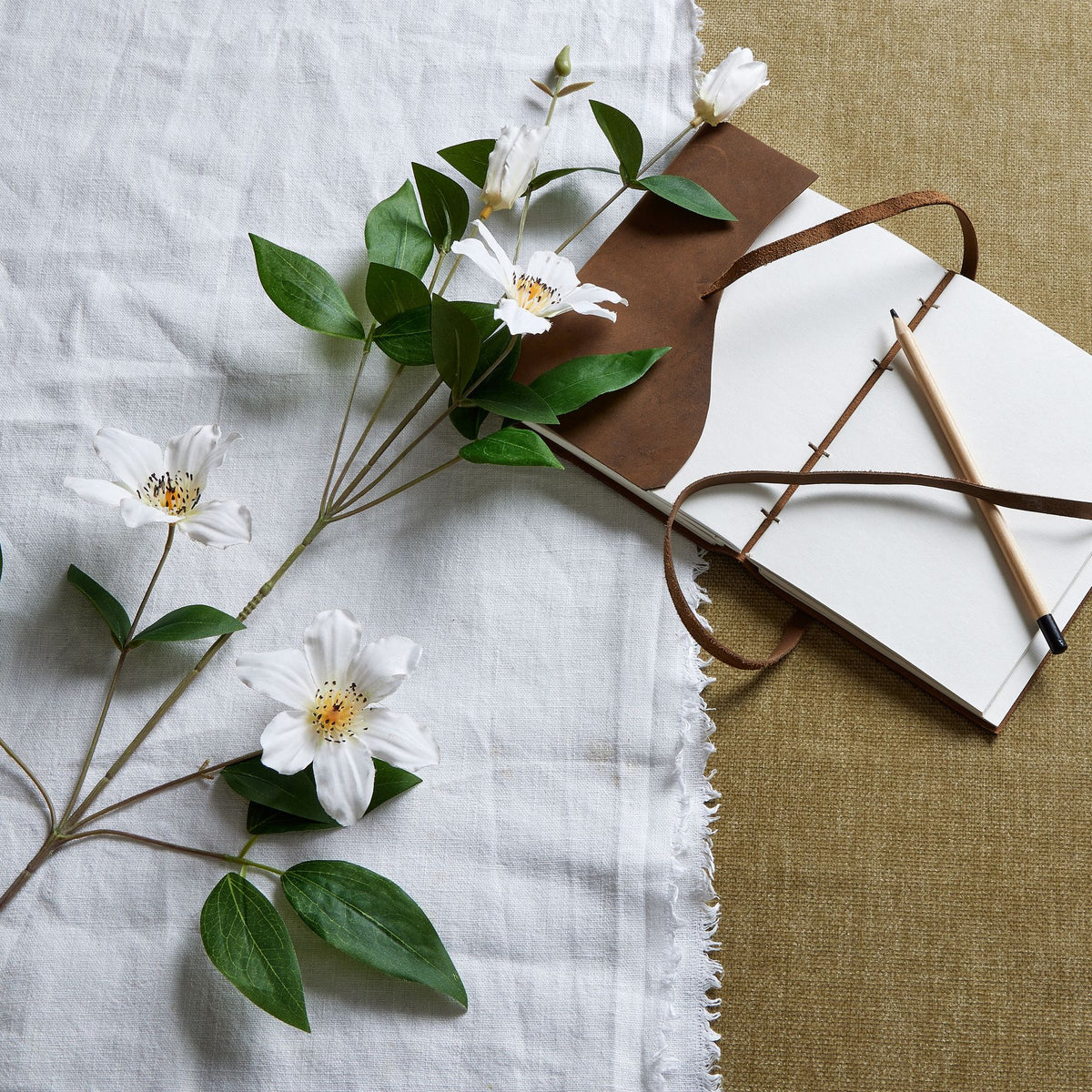 White Florida Clematis - White
