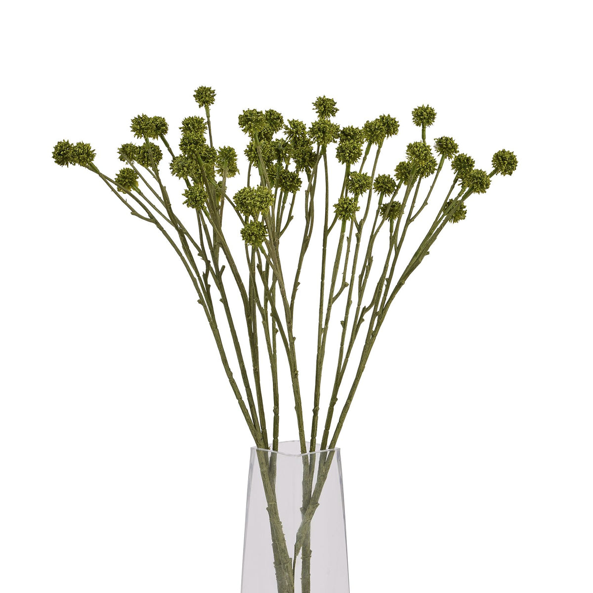 Green Craspedia Stem - Green