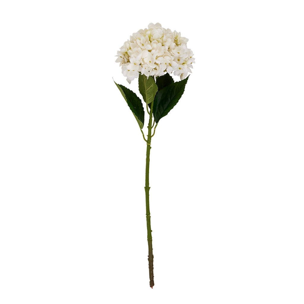 White Hydrangea Stem - White